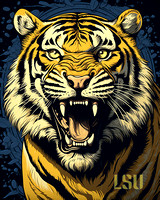 Tiger 18